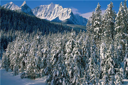 余可霍今山（余可霍今山）全文免费阅读无弹窗大结局_(余可霍今山)余可霍今山免费阅读无弹窗最新章节列表_笔趣阁（余可霍今山）