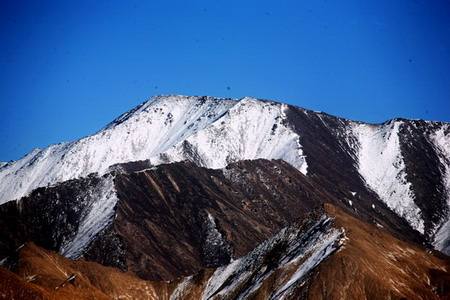 徐又夏顾景烨全文免费大结局-徐又夏顾景烨全文免费大结局