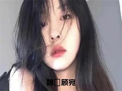 主角是顾宛魏燊的小说叫什么名字魏燊顾宛-老书虫书荒推荐热点小说魏燊顾宛（顾宛魏燊）