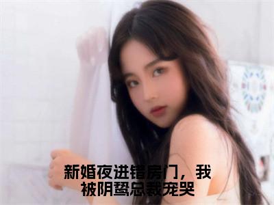 主角叫唐黎月郁墨渊的小说-（新婚夜进错房门，我被阴鸷总裁宠哭）唐黎月郁墨渊全文无弹窗完整版阅读