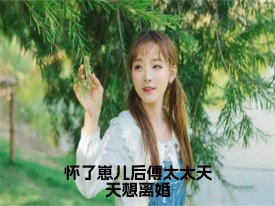 怀了崽儿后傅太太天天想离婚（傅远之南慕）精彩小说-小说傅远之南慕全文无删减版免费阅读