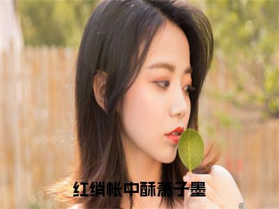 红绡帐中酥萧子墨全文免费阅读-（沈妙音萧子墨）小说全文免费阅读正版无弹窗