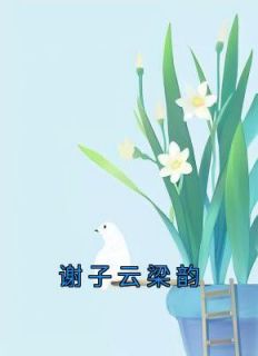 谢子云梁韵