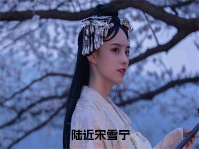 陆近宋雪宁小说（宋雪宁陆近）免费阅读全文无弹窗大结局_宋雪宁陆近免费阅读无弹窗小说_小说笔趣阁