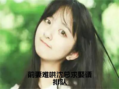 前妻难哄沈总求娶请排队（沈熠任嘉嘉）全文免费阅读无弹窗大结局_（前妻难哄沈总求娶请排队）最新章节列表_笔趣阁