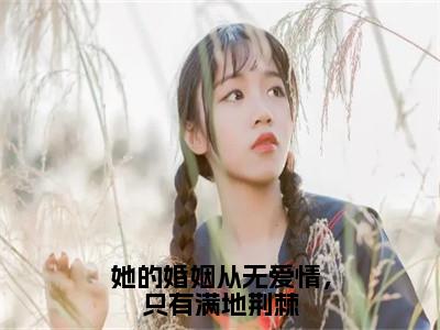 （林佳音许星尧）小说全文免费阅读_林佳音许星尧（她的婚姻从无爱情，只有满地荆棘）最新章节热文在线阅读