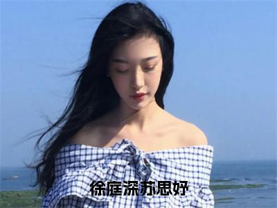 徐庭深苏思妤小说全文-苏思妤徐庭深无弹窗免费阅读