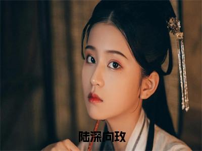 陆深向玫（向玫陆深）全文免费阅读无弹窗大结局_（向玫陆深）陆深向玫最新章节列表_笔趣阁