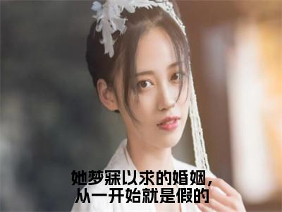 方玲玲梁祈安她梦寐以求的婚姻，从一开始就是假的全文免费完整版，方玲玲梁祈安最新章节完整版阅读