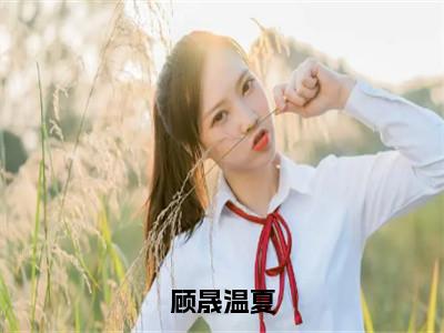 顾晟温夏小说（顾晟温夏）全文免费阅读无弹窗大结局_顾晟温夏小说最新章节列表