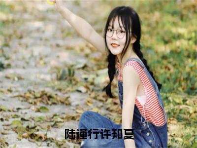 陆谨行许知夏全文免费阅读_（许知夏陆谨行免费阅读无弹窗）陆谨行许知夏最新章节在线阅读笔趣阁