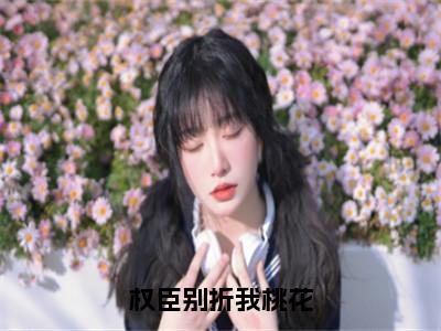 （热推新书）《权臣别折我桃花》全文免费阅读最新章节大结局-谢辞景沈珺无弹窗阅读