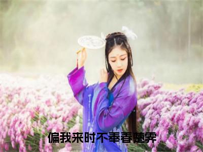 偏我来时不奉春楚霁多人追热门小说时茗楚霁最新章节免费阅读