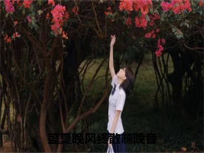 盛夏晚风终散林晚音（傅珉轩林晚音）小说全文免费阅读-盛夏晚风终散林晚音（傅珉轩林晚音）小说免费版最新更新阅读