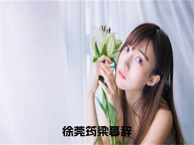 徐莞筠梁暮辞全文免费在线阅读_（梁暮辞徐莞筠全文免费阅读无弹窗大结局）徐莞筠梁暮辞最新章节列表笔趣阁