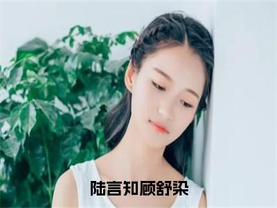 陆言知顾舒染是什么小说-（顾舒染陆言知）陆言知顾舒染无弹窗免费阅读大结局最新章节列表_笔趣阁