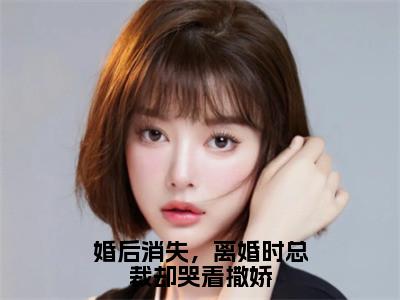 婚后消失，离婚时总裁却哭着撒娇（顾轻妤沈易泽）精彩热门小说-婚后消失，离婚时总裁却哭着撒娇全章节免费阅读