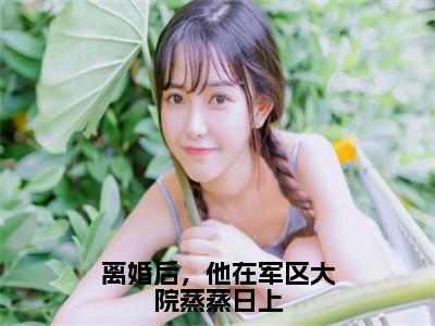 离婚后，他在军区大院蒸蒸日上（宋景渊周芸菁）全文免费阅读_离婚后，他在军区大院蒸蒸日上（宋景渊周芸菁）最新章节小说免费阅读