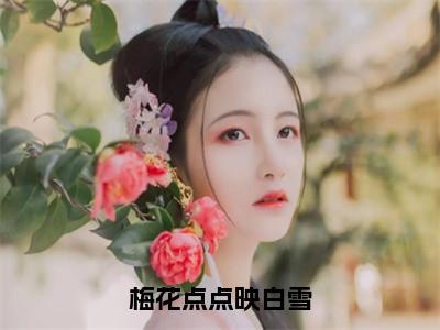 梅花点点映白雪（沈无漾）全文免费阅读无弹窗_梅花点点映白雪全文免费阅读无弹窗最新章节列表笔趣阁